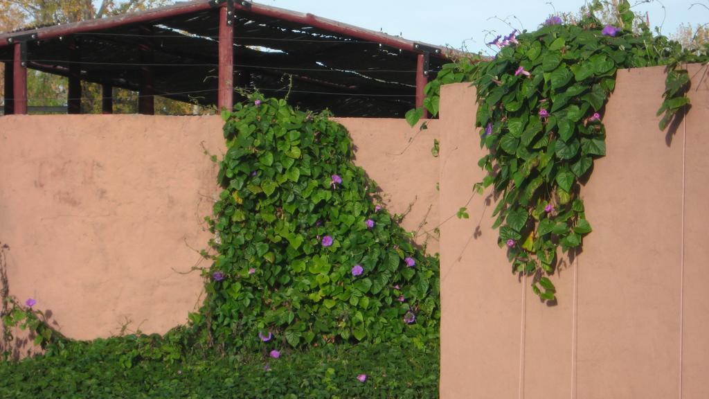 Posada Del Viajero San Rafael 외부 사진